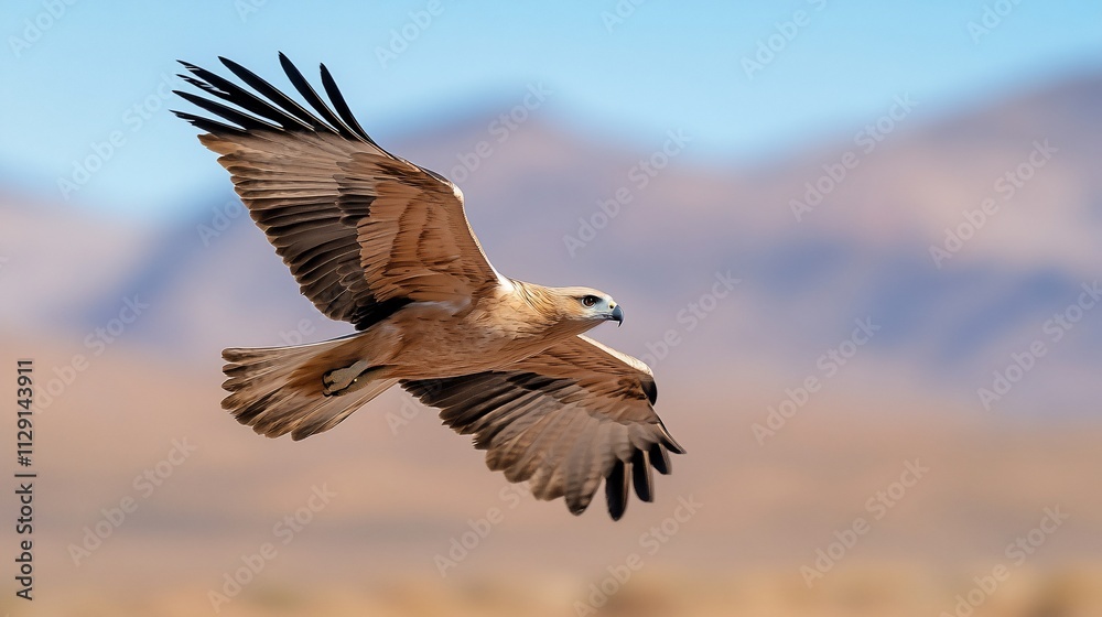 A hawk soaring gracefully through a clear blue sky. A hawk soaring gracefully through a clear blue sky.