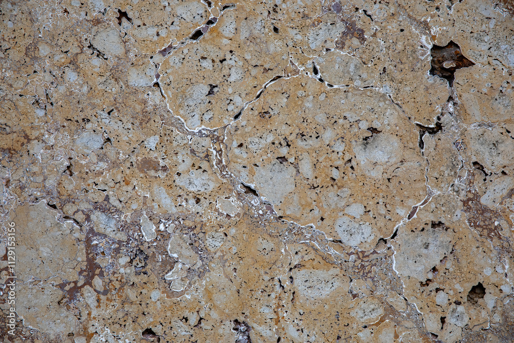 Random, Unique, Natural Cannstatter Travertine Texture - Freshwater Limestone Background Random, Unique, Natural Cannstatter Travertine Texture - Freshwater Limestone Background