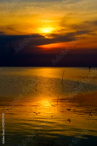 Stunning Sunset golden hour sky Over Tranquil Ocean Waters with Birds