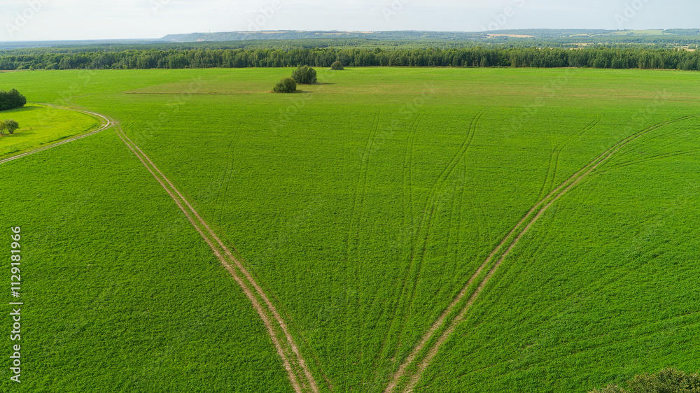 Obraz premium Field of green grass with a dirt road running through it