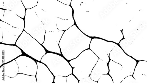 crack concrete white wall or Cement wall background, grunge wall texture with crack. Abstract fracture design. Crack texture lines isolated on white background.
