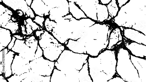 Cracked white surface texture.  Black and white cracked texture, Abstract fracture design. Crack texture lines isolated on white background.