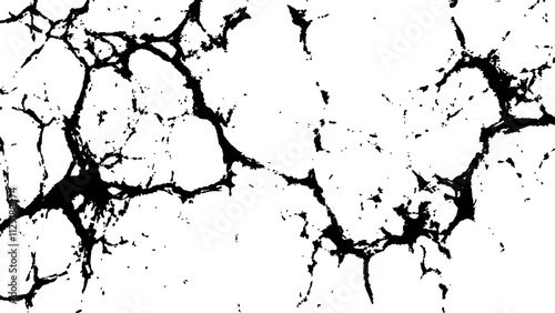 Cracked white surface texture.  Black and white cracked texture, Abstract fracture design. Crack texture lines isolated on white background.