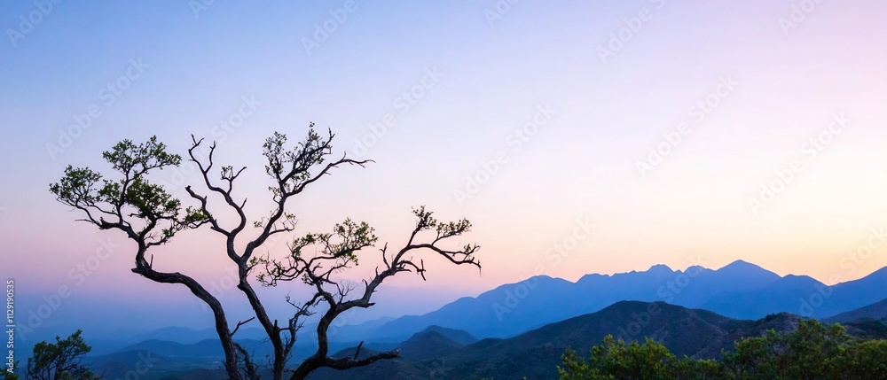 Silhouette of tree against sunset mountain landscape. Silhouette of tree against sunset mountain landscape.