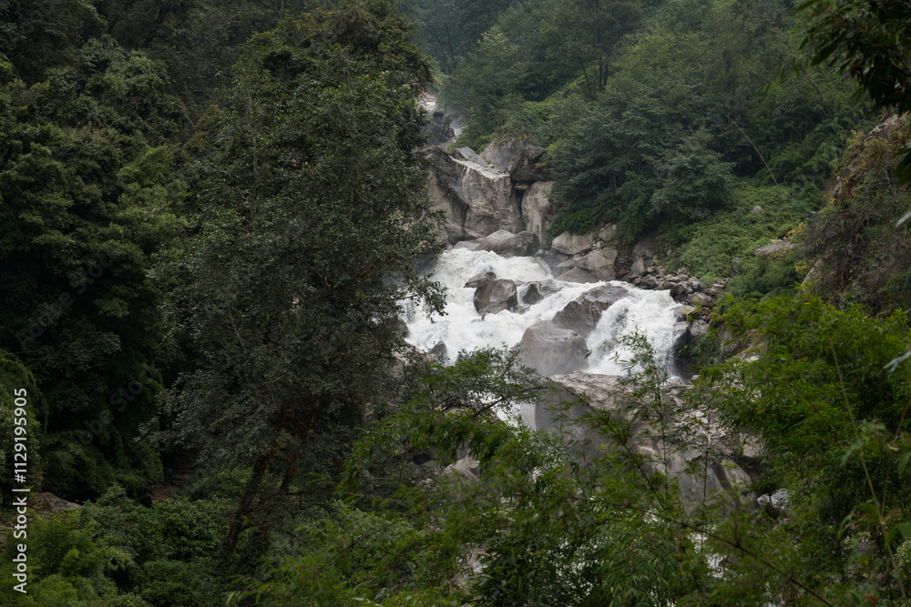 Day 2 of Langtang Valley Circuit Trek Bamboo and Pairo Region on Langtang River Trail in Trek Nepal Day 2 of Langtang Valley Circuit Trek Bamboo and Pairo Region on Langtang River Trail in Trek Nepal