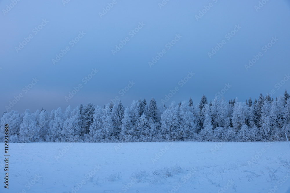 Raureif in einer verschneiten winterlichen Landschaft mit Bäumen