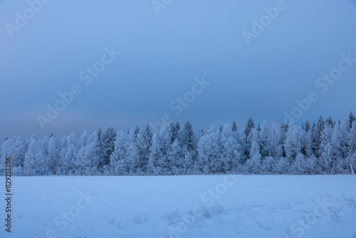 Raureif in einer verschneiten winterlichen Landschaft mit Bäumen