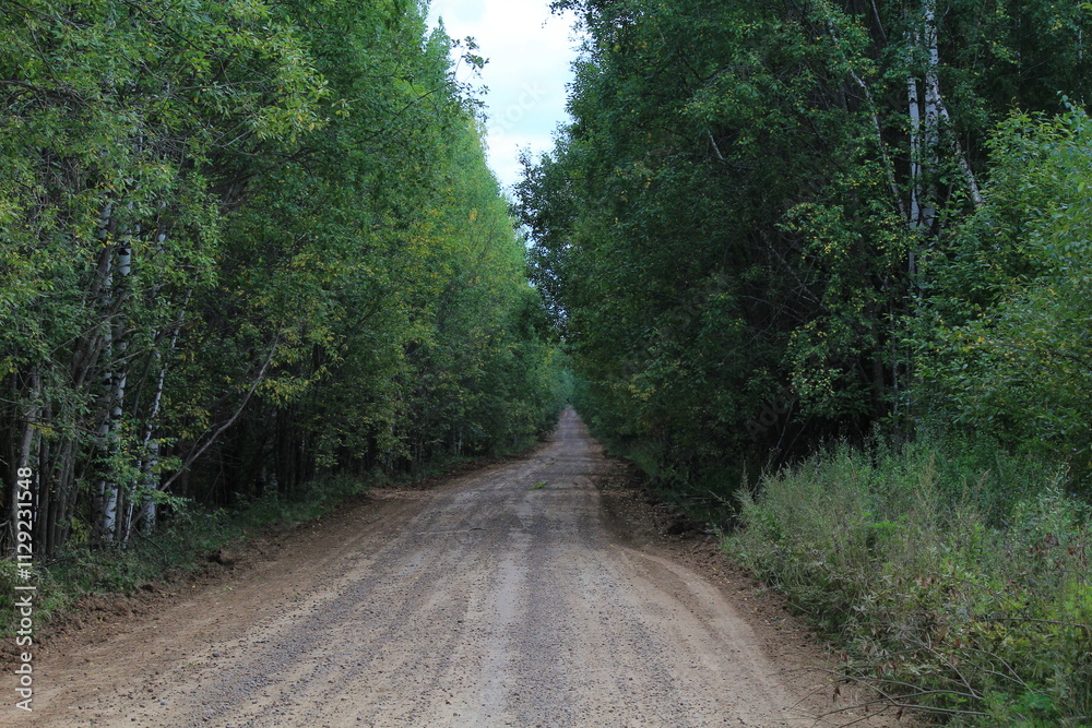 Dirt road in dense deciduous forest in late summer on a sunny day Dirt road in dense deciduous forest in late summer on a sunny day