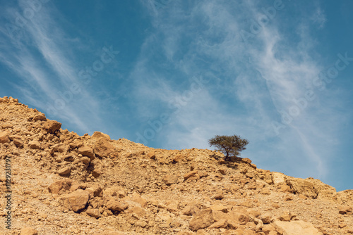 Wadi Arugot National Park is a desolate rocky landscape photo