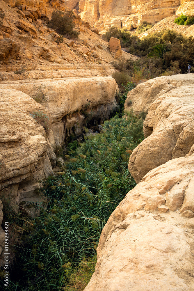 Wadi Arugot Stream in the charming Ein Gedi Nature Reserve, Israel Wadi Arugot Stream in the charming Ein Gedi Nature Reserve, Israel