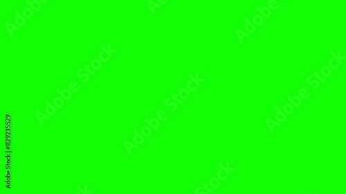 Animated Text Box on Green Screen - Customizable Video Overlay