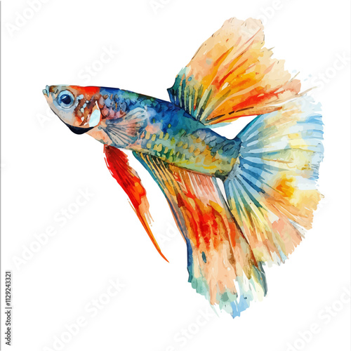 A watercolor painting of a guppy fish, isolated on a white background. Guppy fish vector.