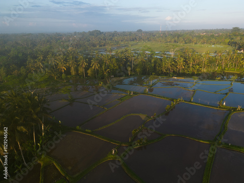 Bild auf Leinwand Lush green rice fields stretch across the tranquil landscape at sunrise