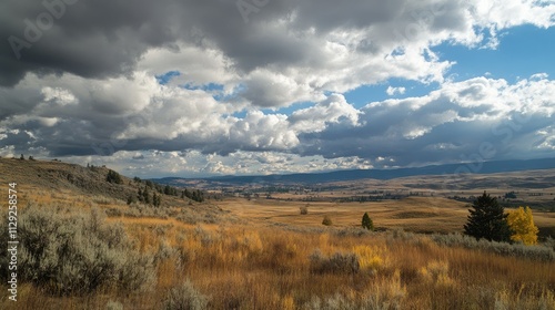 Vast landscapes stretching beyond sight.