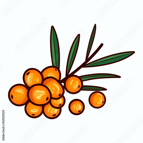 Bright branch of sea buckthorn with berries. Vector illustration.