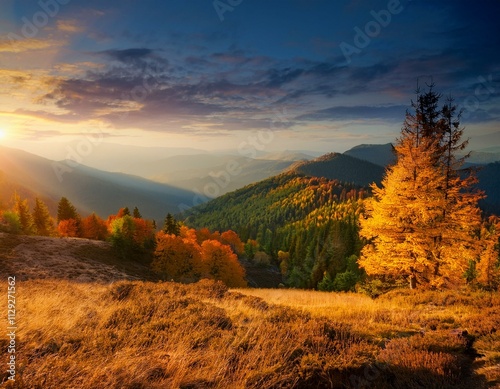 The Warmth of Fall: Sunset Over Autumn Trees