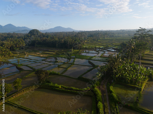 фотографія A scenic view of lush terraced rice fields stretching across a rural landscape