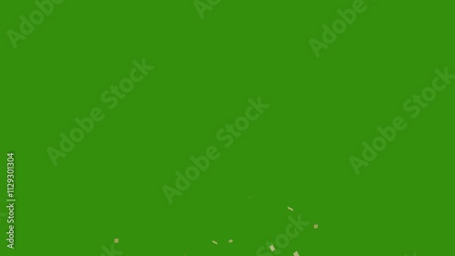 confetti Animation of golden confetti paper falling down slowly on transparent green screen background Birthday celebration party. 4K alpha channel