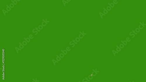 confetti falling on green background 4K celebration party birthday colorful, Animation of golden confetti paper falling down slowly on transparent screen. Birthday celebration party. 4K alpha channel