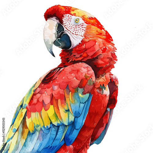 A watercolor of a macaw, isolated on a white background. Macaw vector.