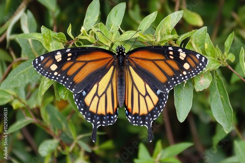 A butterfly perched on a leaf-covered tree, providing a striking contrast between nature's beauty and the decaying foliage