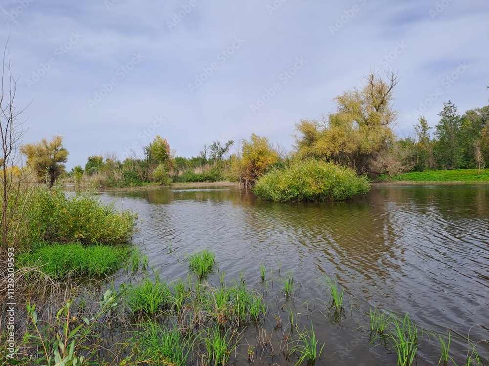 Obraz premium landscape with river and sky