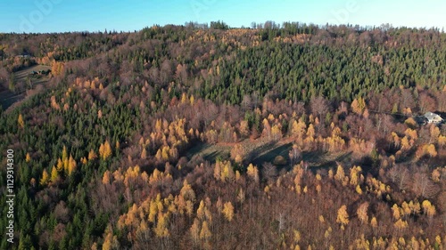 autumn in the mountains