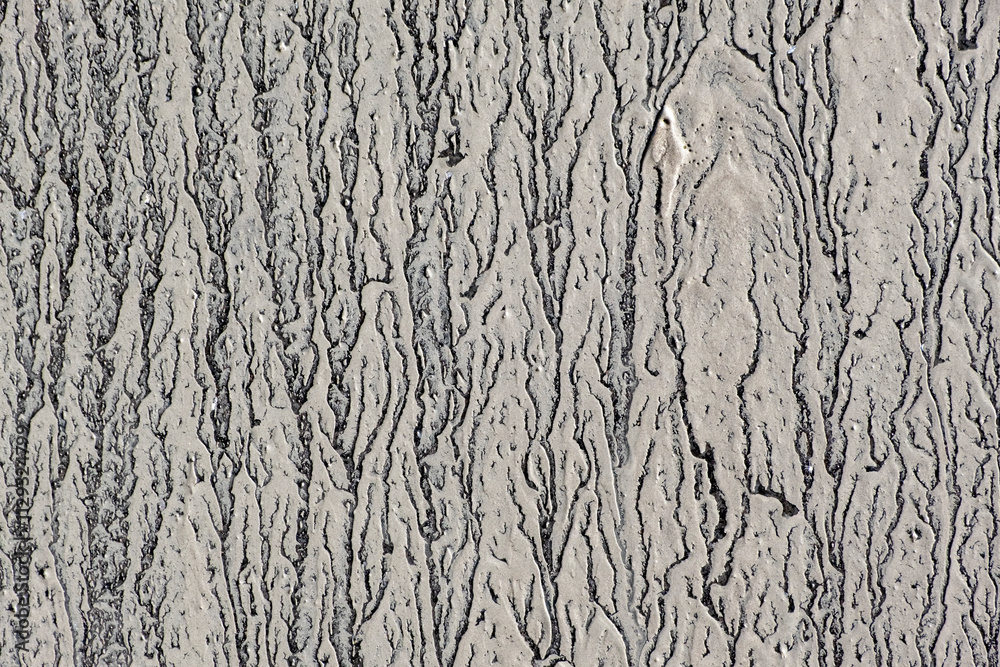drained frozen mud texture. Gray light brown uneven background drained frozen mud texture. Gray light brown uneven background