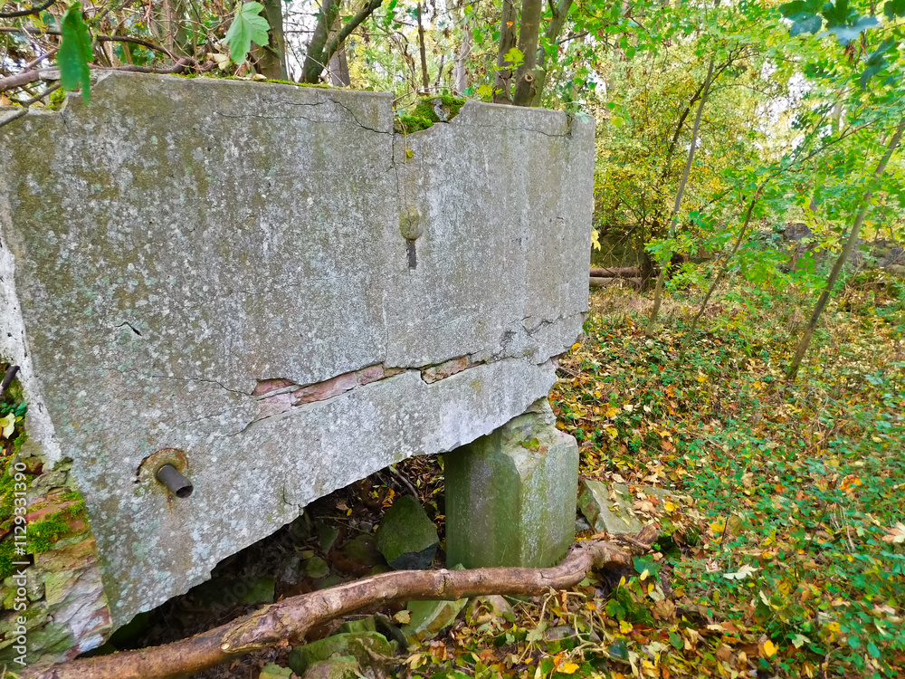 Geheimnisvolle Orte - Eine Ruine im Unterholz