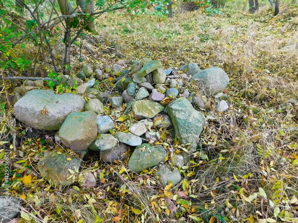 Geheimnisvolle Orte - Eine Ruine im Unterholz