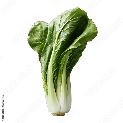 Lettuce Leaves photo