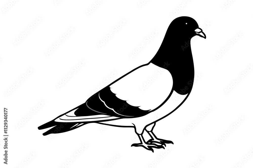 Fototapeta premium Pigeon Line Art Vector Illustration