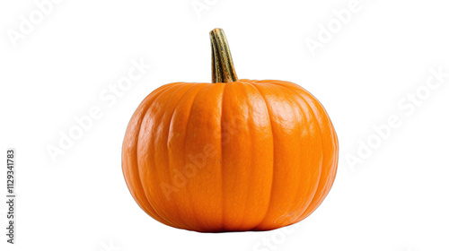 Pumpkin Isolated photo