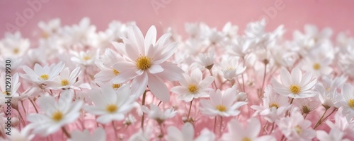 Soft pink background with delicate white flower petals, peaceful scene, feminine charm, serene environment