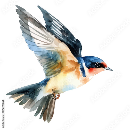 A watercolor painting of a swallow, isolated on a white background. Swallow vector.