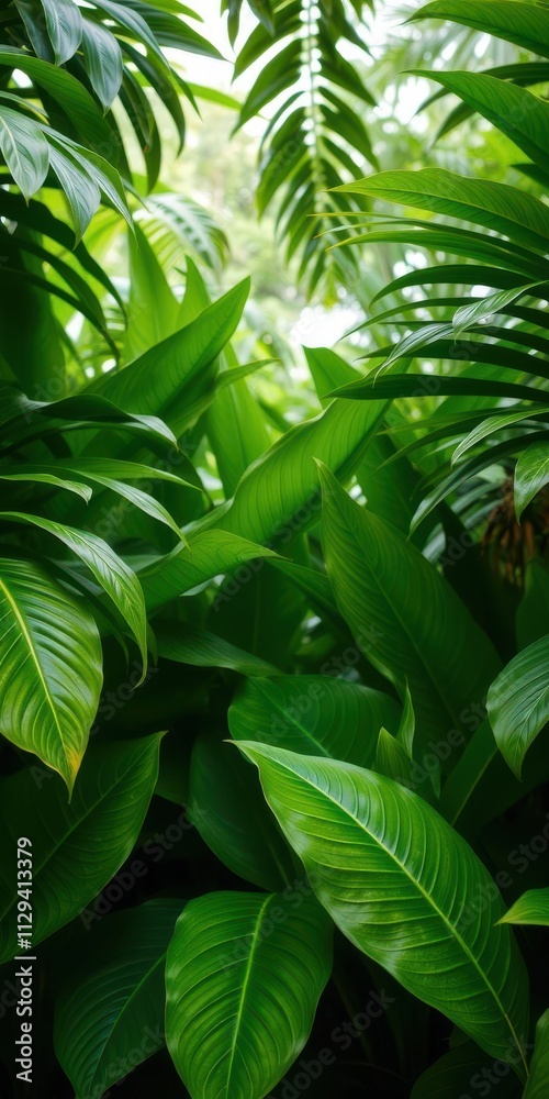 Tropical green leaves in a lush and verdant background, botany Tropical green leaves in a lush and verdant background, botany