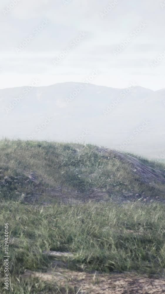 A grassy hill with mountains in the background A grassy hill with mountains in the background