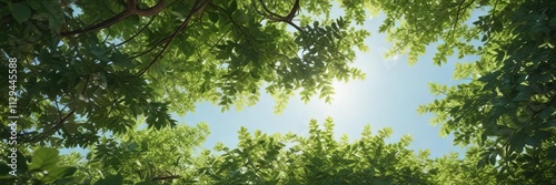 A dense thicket of green leaves and branches under a sunny sky, natural surroundings, earthy tones