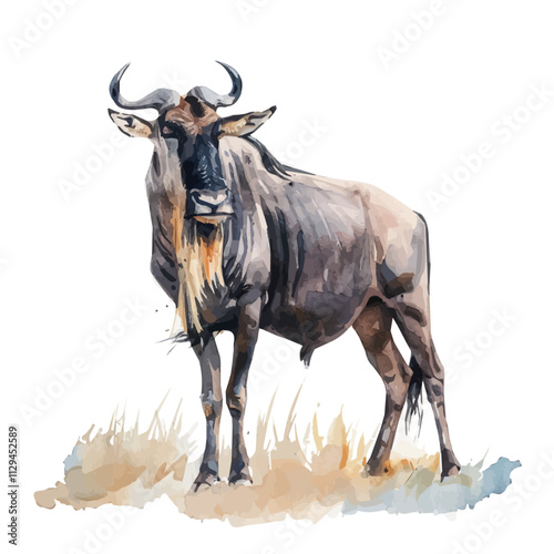 A watercolor of a wildebeest, isolated on a white background. Wildebeest vector.