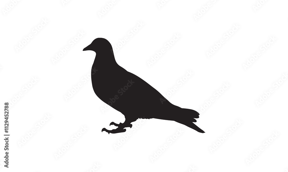pigeon silhouette isolated on white pigeon silhouette isolated on white