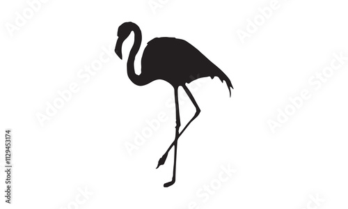 silhouette of a flamingo photo