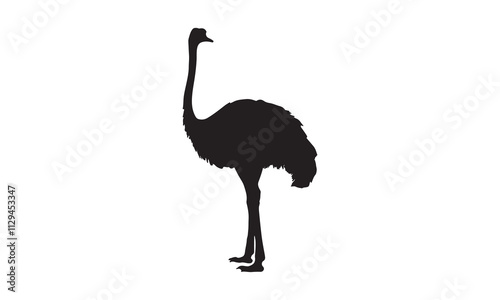 ostrich cartoon isolated on white
