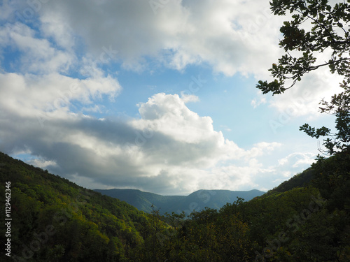 Mountain landscape with green forest and blue sky with white clouds.