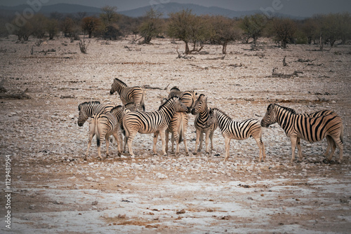 Afrikanische Tierwelt