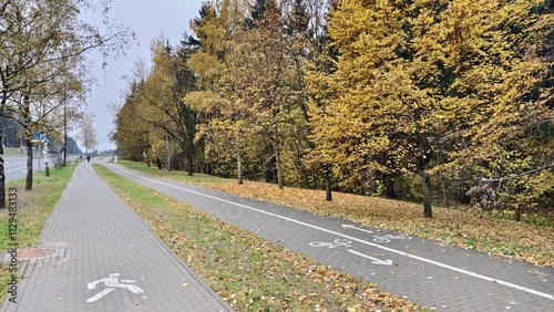 Along the grassy lawns with fallen leaves and trees along the edge of the city park, there is a tiled sidewalk and two-way bike path with markings. Autumn and yellow leaves