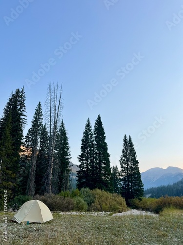 Wallpaper Mural camping in the mountains with evergreen pine trees and tent Torontodigital.ca