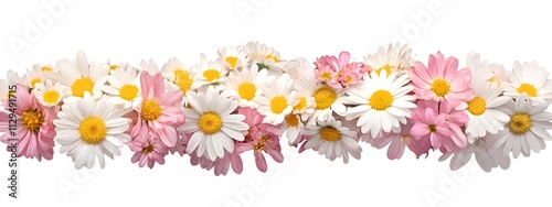 A border of pastel pink, white, and yellow chrysanthemums on an isolated background with lots of negative space around the edges