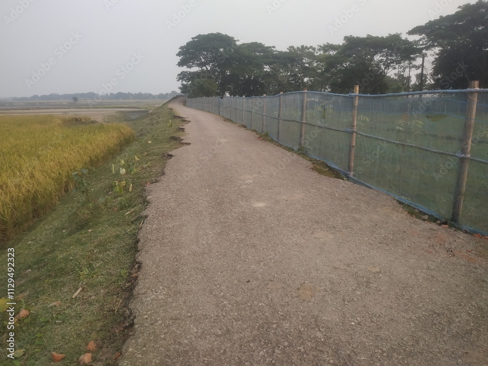 path in the countryside