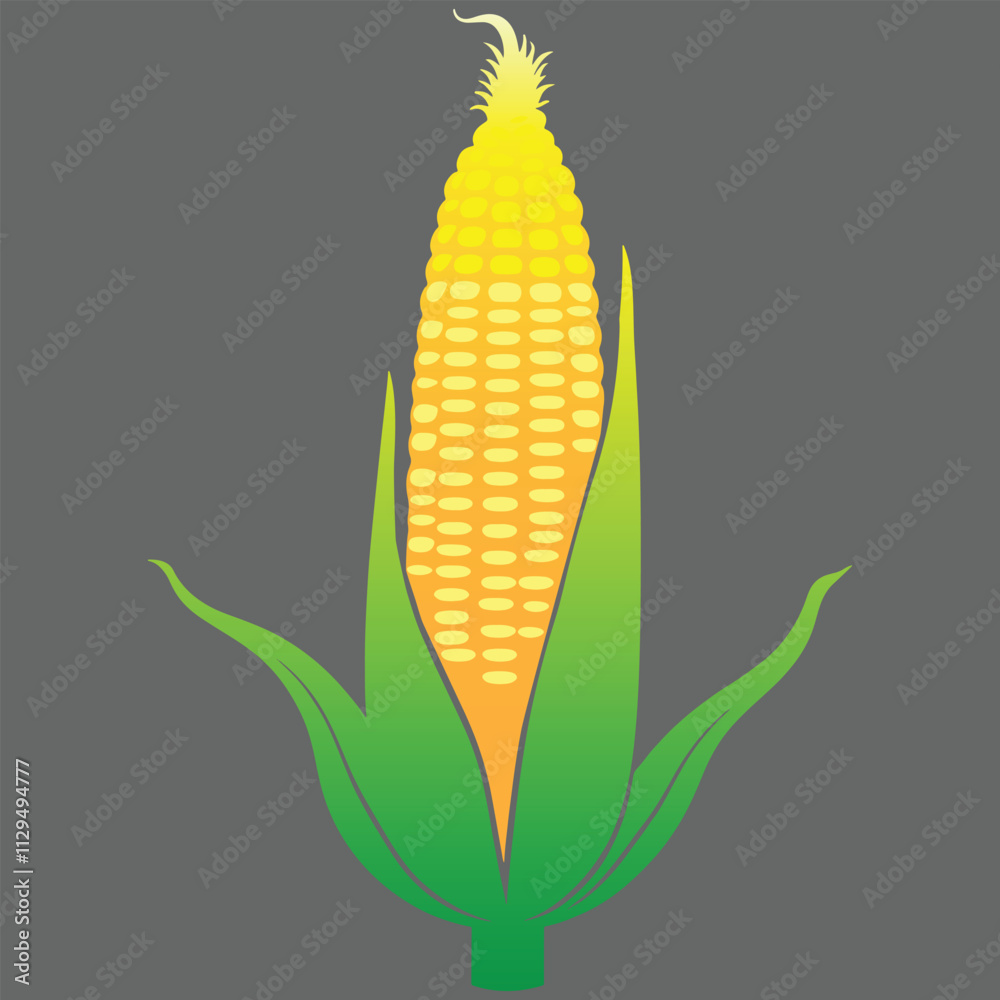 Obraz premium Corn Colorful Vector Illustration Design (Version: 01)