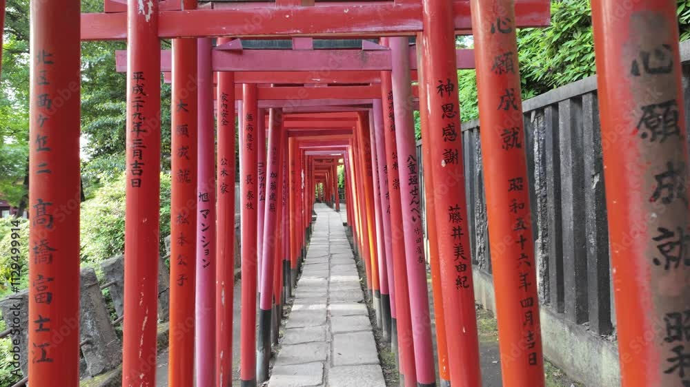 A Scenic Torii Gate Pathway That Is Beautifully Surrounded by Lush Nature and Greenery A Scenic Torii Gate Pathway That Is Beautifully Surrounded by Lush Nature and Greenery